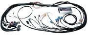 PS1000 Mazda 13B Fully Terminated Harness Kit - Includes pre-wired LS1 ignition coil harness
