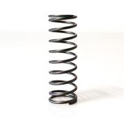 WG 38mm/40/45 HyperGate Outer spring (25-30 PSI)