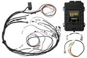 Elite 1000 + Mazda 13B S4/5 CAS with Flying Lead
Ignition Terminated Harness Kit