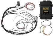 Elite 1500 + Mazda 13B S4/5 CAS with IGN-1A
Ignition Terminated Harness Kit