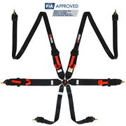 RRS FIA 3" 2" R6 HANS® 2.8kg black harness