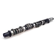 CAMSHAFT - STAGE 2 Normally Aspirated Street (Honda D16Y8)