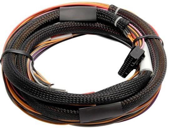 IO 12 Expander Box A - CAN Based 12 Channel inc Flying Lead Harness 2.5m (includes Black 600mm CAN Cable)