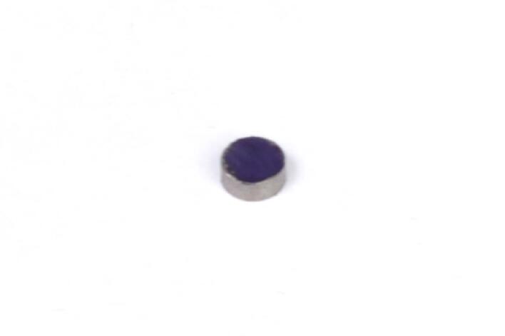 Rare Earth Magnets (5mm DIA x 2mm H)