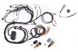 Elite 2000/2500 Terminated Engine Harness for Nissan RB Twin Cam with CAS harness and Series 1 (early) ignition type sub harness