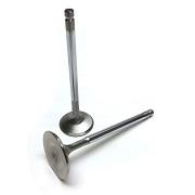 1FZFE Stainless Steel Exhaust Valves